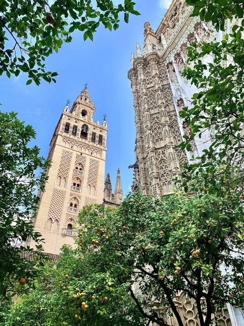 Giralda Tower and Seville Cathedral