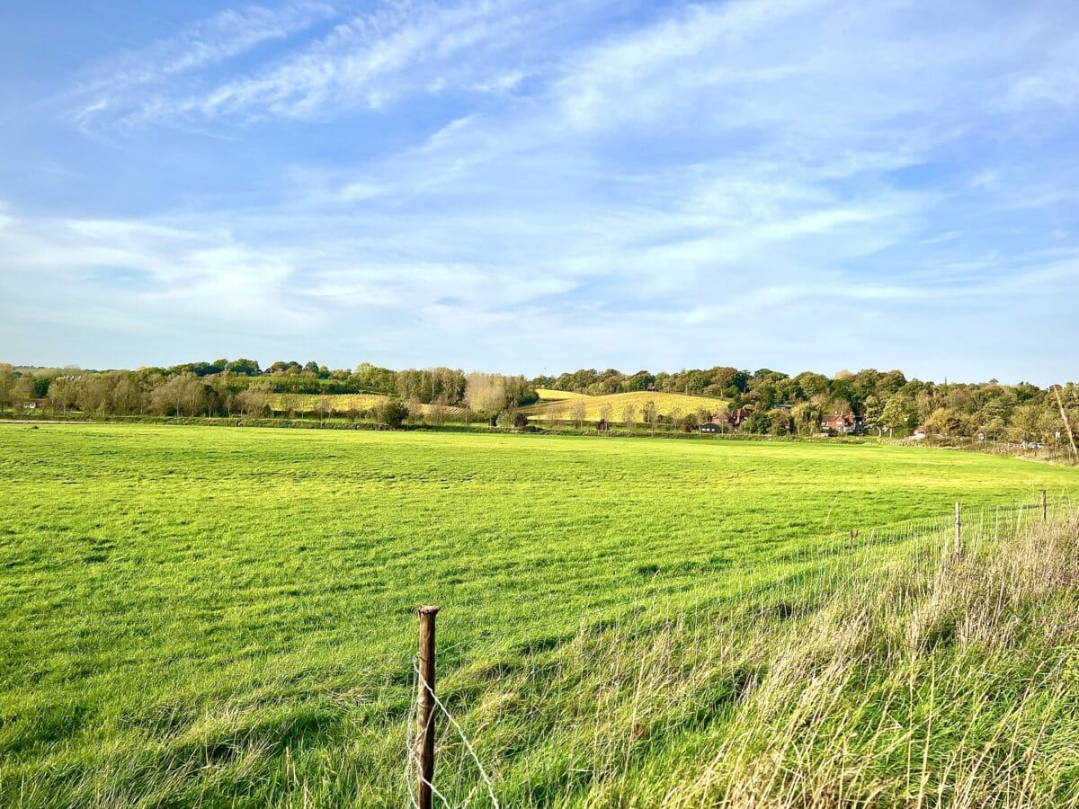Peaceful green countryside viewed from a Bodiam bridleway in East Sussex, with rolling fields and open rural scenery | by Georgina