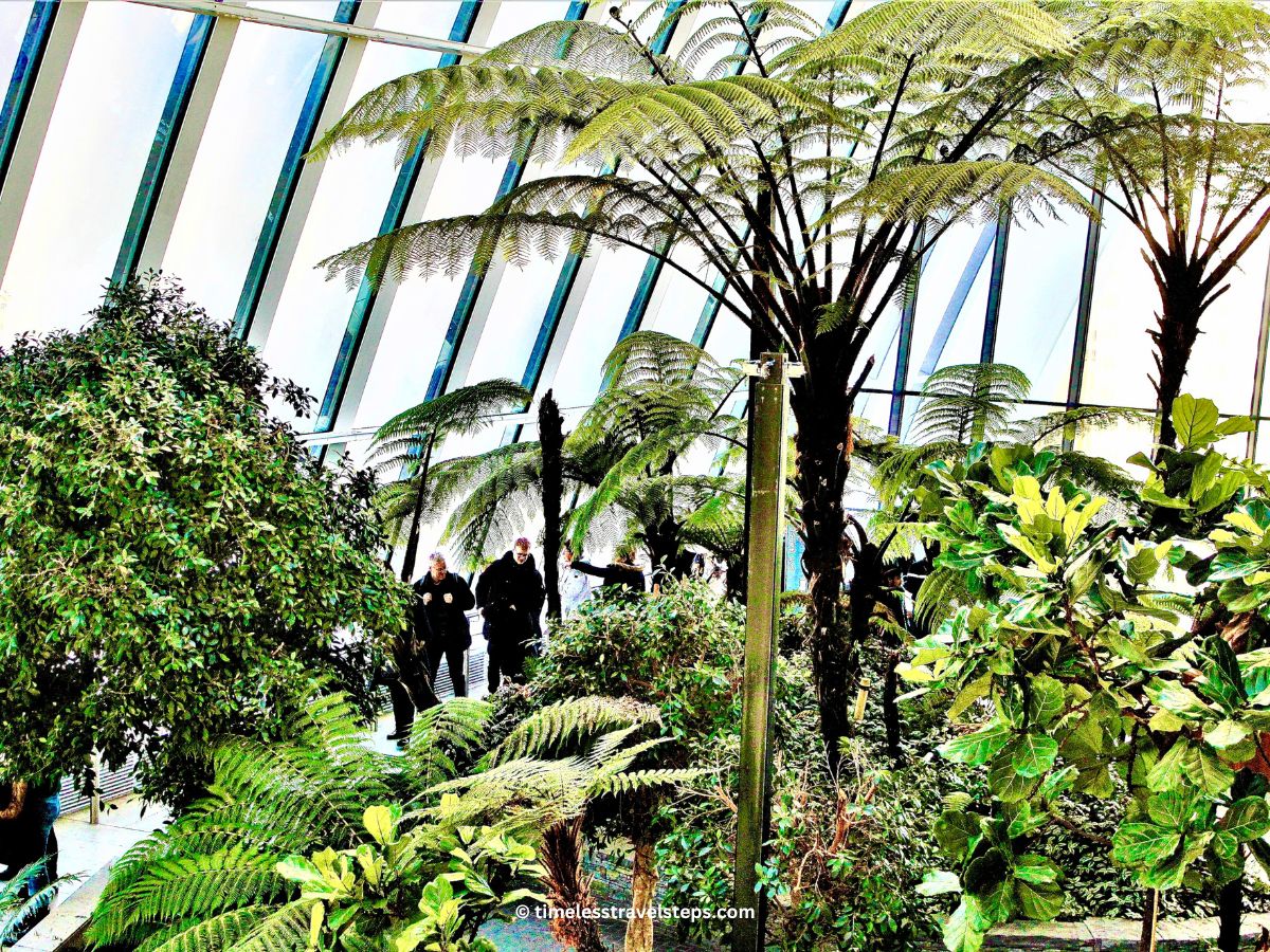 _Sky Garden London © Timeless Travel Steps