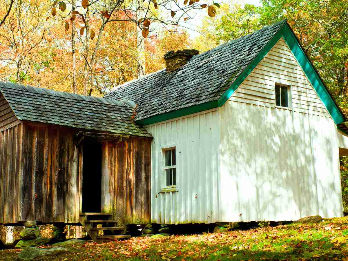 Alfred Reagan Cabin and Tubmill in Roaring Fork, featuring a rustic, well-preserved wooden cabin beside an old tubmill, nestled in a serene forest setting with dappled sunlight filtering through the trees.