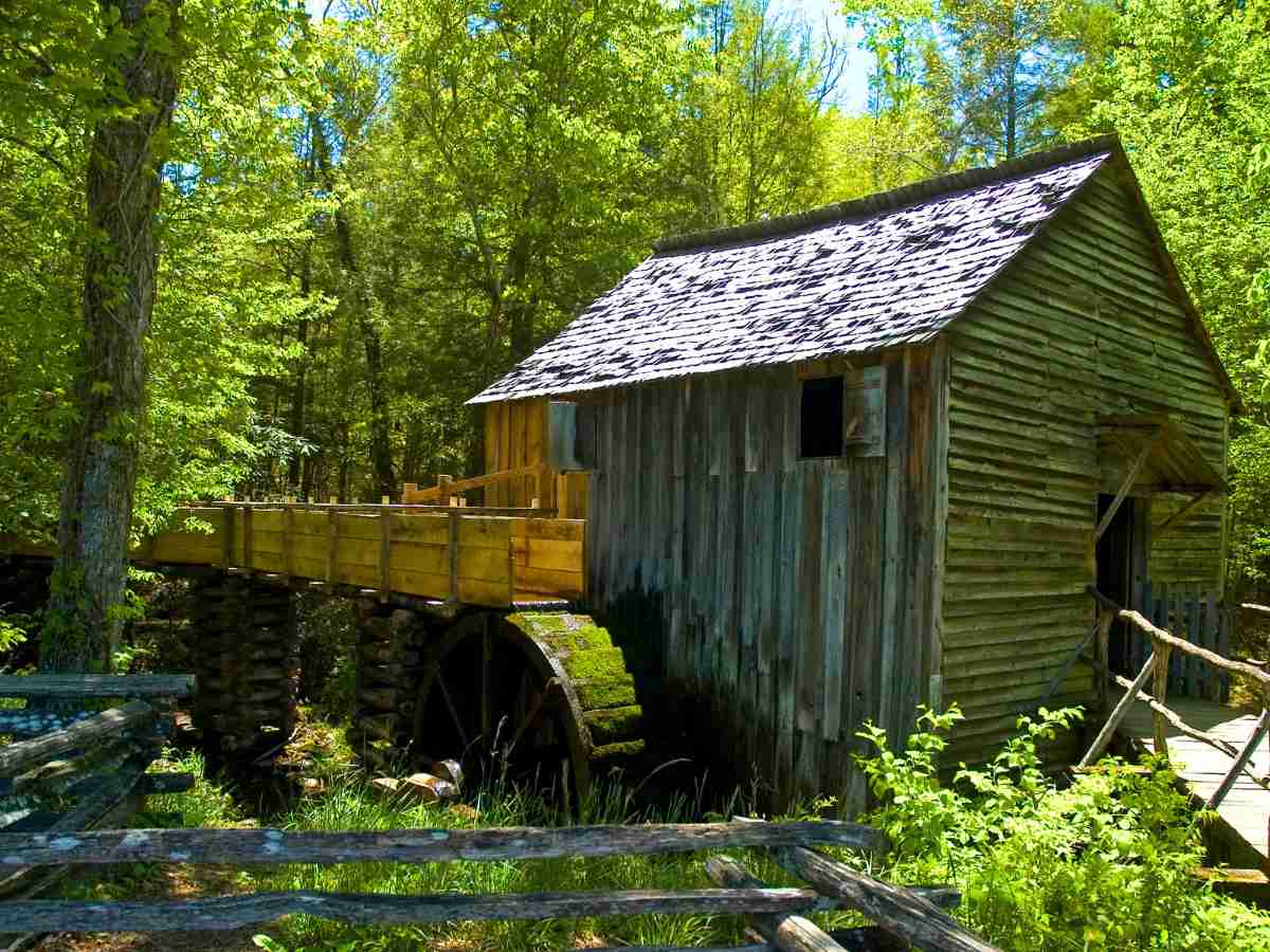 an old water mill in Cades Cove surrounded by lush greenery