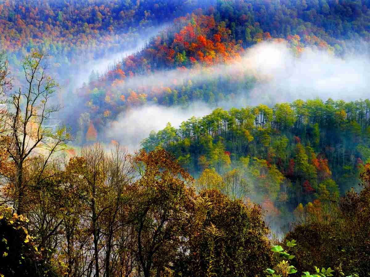 Fog covering the mountain tops in the Smokies, with vibrant fall foliage peeking through, creating a mysterious and serene atmosphere